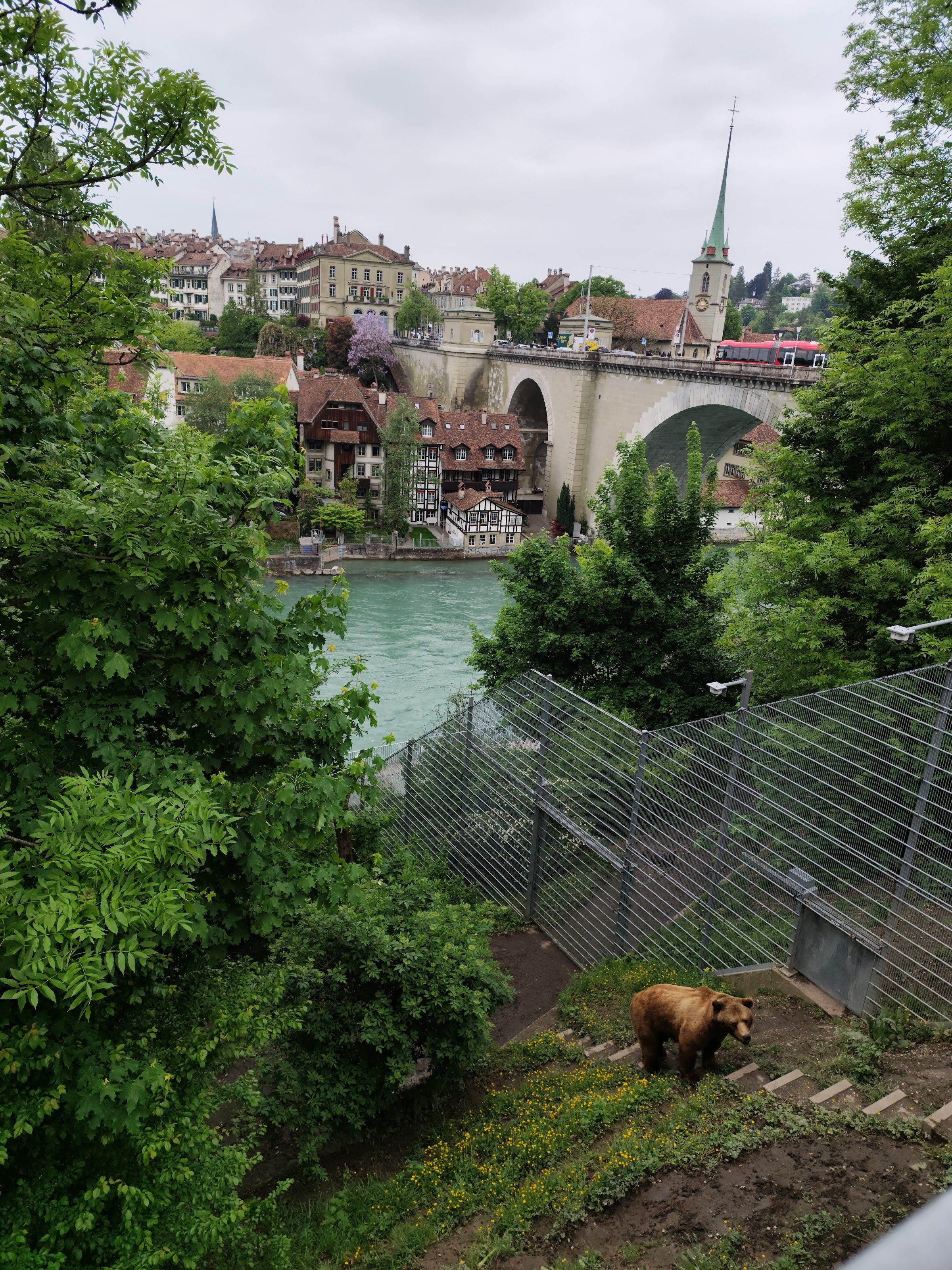 BärenPark (Bern Bear Park)
